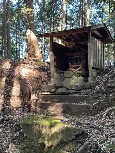 櫻本坊の末社・摂社