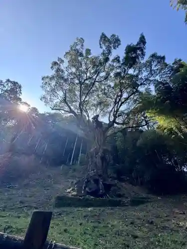 武雄神社の{uncategorized: "未分類", other: "その他", undefined: "問題あり", building: "その他建物", grave: "お墓", sacred_gate: "鳥居", guardian: "狛犬", statue: "像", buddha: "仏像", history: "歴史", nature: "自然", garden: "庭園", animal: "動物", pagoda: "塔", temizu: "手水舎", mountain_gate: "山門・神門", sanctuary: "本殿・本堂", subordinate: "末社・摂社", art: "芸術", scenery: "景色", jizo: "地蔵", ema: "絵馬", goshuin: "御朱印", omikuji: "おみくじ", items: "授与品その他", amulet: "お守り", goshuincho: "御朱印帳", eats: "食事", festival: "お祭り", votive_dance: "神楽", shichigosan: "七五三参", wedding: "結婚式", experience: "体験その他", initially: "初詣", around: "周辺", anti_infection: "感染症対策"}