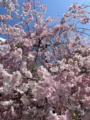 市原稲荷神社(愛知県)