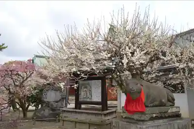 北野天満宮(京都府)