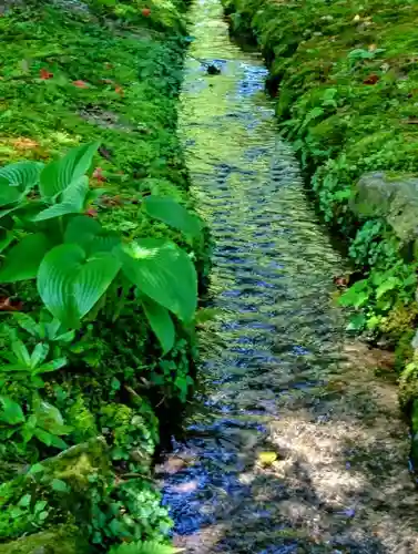 興聖寺の庭園