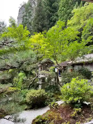 岩屋寺の庭園