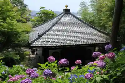 長谷寺(神奈川県)