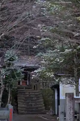 大山阿夫利神社(神奈川県)