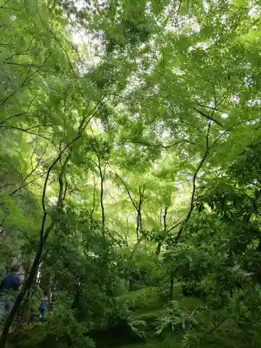 光明寺瑠璃光院の自然