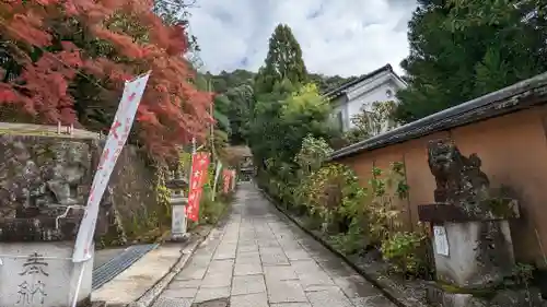 大豊神社(京都府)