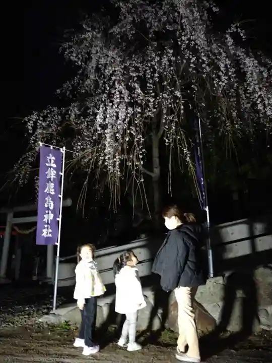 立鉾鹿島神社の庭園