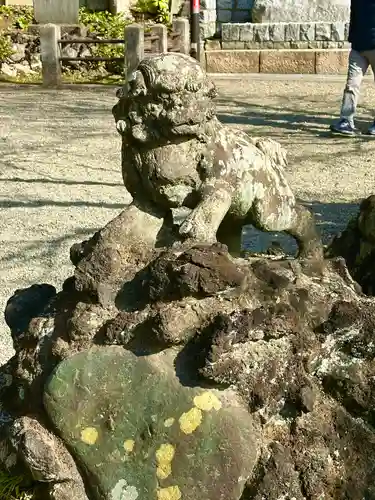 貫井神社(東京都)