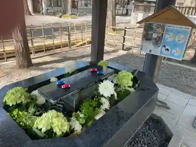 新琴似神社の{uncategorized: "未分類", other: "その他", undefined: "問題あり", building: "その他建物", grave: "お墓", sacred_gate: "鳥居", guardian: "狛犬", statue: "像", buddha: "仏像", history: "歴史", nature: "自然", garden: "庭園", animal: "動物", pagoda: "塔", temizu: "手水舎", mountain_gate: "山門・神門", sanctuary: "本殿・本堂", subordinate: "末社・摂社", art: "芸術", scenery: "景色", jizo: "地蔵", ema: "絵馬", goshuin: "御朱印", omikuji: "おみくじ", items: "授与品その他", amulet: "お守り", goshuincho: "御朱印帳", eats: "食事", festival: "お祭り", votive_dance: "神楽", shichigosan: "七五三参", wedding: "結婚式", experience: "体験その他", initially: "初詣", around: "周辺", anti_infection: "感染症対策"}