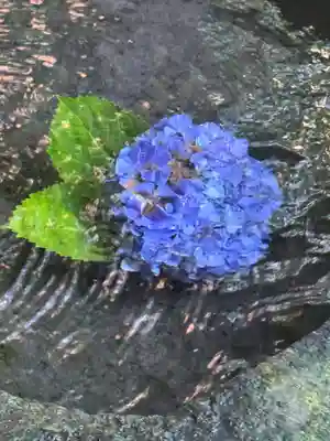 平泉寺白山神社(福井県)