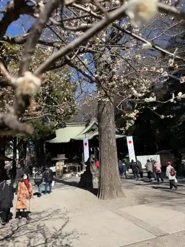 谷保天満宮の{uncategorized: "未分類", other: "その他", undefined: "問題あり", building: "その他建物", grave: "お墓", sacred_gate: "鳥居", guardian: "狛犬", statue: "像", buddha: "仏像", history: "歴史", nature: "自然", garden: "庭園", animal: "動物", pagoda: "塔", temizu: "手水舎", mountain_gate: "山門・神門", sanctuary: "本殿・本堂", subordinate: "末社・摂社", art: "芸術", scenery: "景色", jizo: "地蔵", ema: "絵馬", goshuin: "御朱印", omikuji: "おみくじ", items: "授与品その他", amulet: "お守り", goshuincho: "御朱印帳", eats: "食事", festival: "お祭り", votive_dance: "神楽", shichigosan: "七五三参", wedding: "結婚式", experience: "体験その他", initially: "初詣", around: "周辺", anti_infection: "感染症対策"}