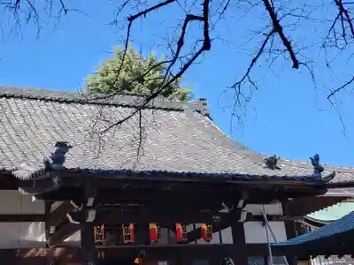 新井薬師（梅照院）(東京都)