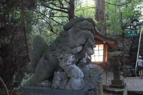 高千穂神社の狛犬