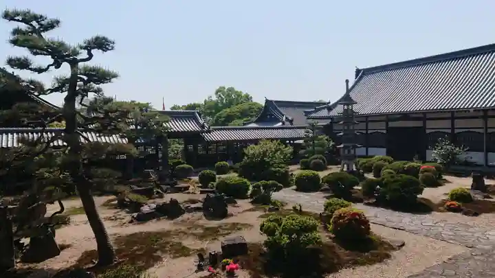 興聖寺(興聖寶林禅寺)の庭園