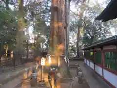 一言主神社の自然