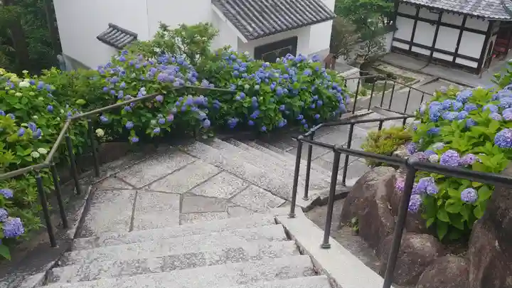 柳谷観音 楊谷寺の景色