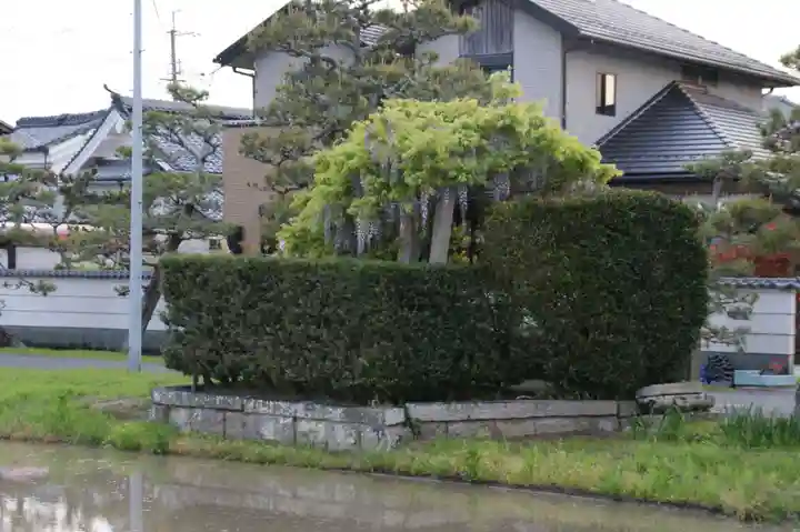 観音寺(滋賀県)