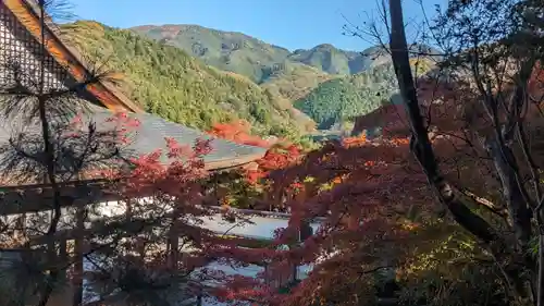 宝徳寺(群馬県)