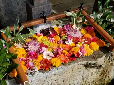 田間神社の手水舎