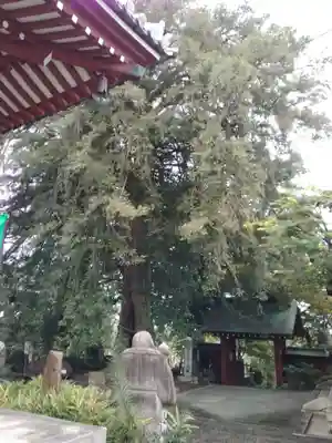 善養寺（善養密寺）のその他建物