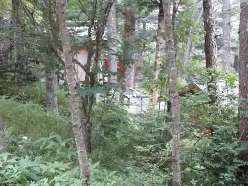 新屋山神社奥宮の景色