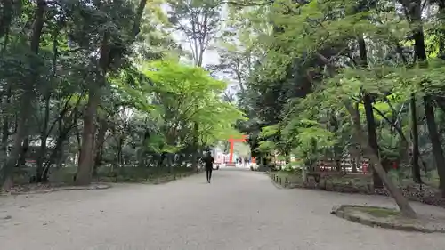 賀茂御祖神社（下鴨神社）(京都府)