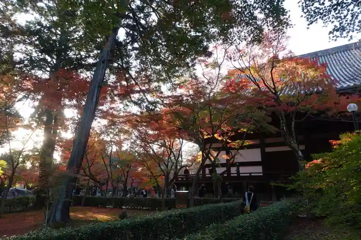 真正極楽寺(真如堂)(京都府)