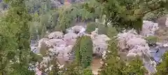 久遠寺の景色