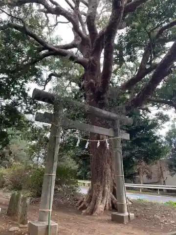 浅間神社(千葉県)