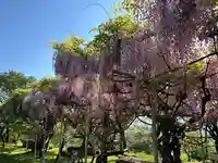 木舟山 順教寺(広島県)