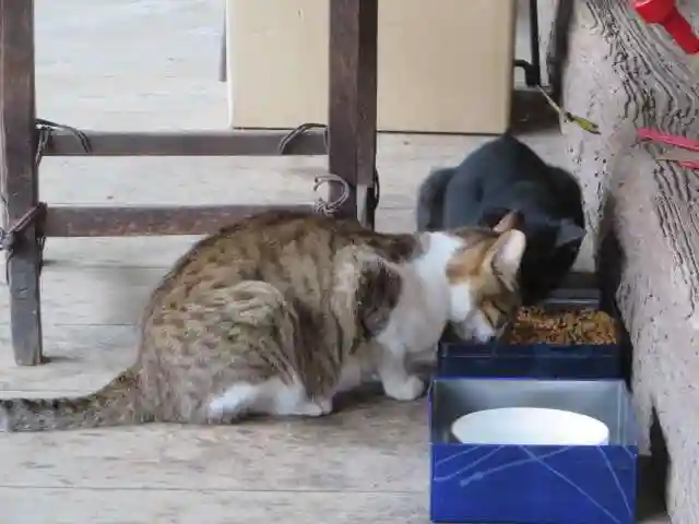 智恩寺(京都府)