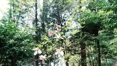 定光寺(愛知県)