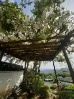 極楽寺(吐田極楽寺)の{uncategorized: "未分類", other: "その他", undefined: "問題あり", building: "その他建物", grave: "お墓", sacred_gate: "鳥居", guardian: "狛犬", statue: "像", buddha: "仏像", history: "歴史", nature: "自然", garden: "庭園", animal: "動物", pagoda: "塔", temizu: "手水舎", mountain_gate: "山門・神門", sanctuary: "本殿・本堂", subordinate: "末社・摂社", art: "芸術", scenery: "景色", jizo: "地蔵", ema: "絵馬", goshuin: "御朱印", omikuji: "おみくじ", items: "授与品その他", amulet: "お守り", goshuincho: "御朱印帳", eats: "食事", festival: "お祭り", votive_dance: "神楽", shichigosan: "七五三参", wedding: "結婚式", experience: "体験その他", initially: "初詣", around: "周辺", anti_infection: "感染症対策"}