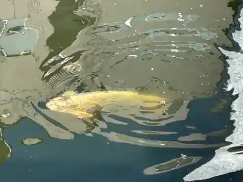 大阪天満宮(大阪府)