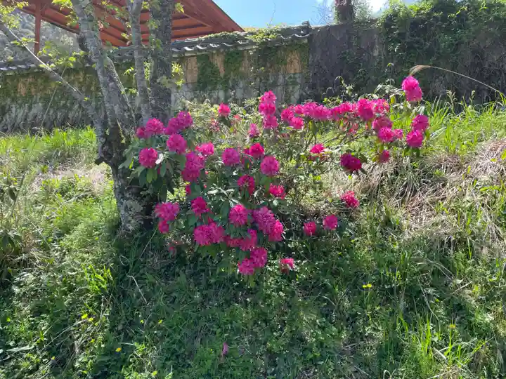 天台宗 五大山 白毫寺(兵庫県)