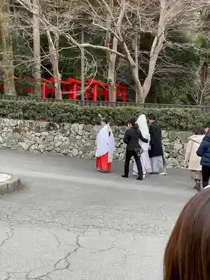 椿大神社(三重県)