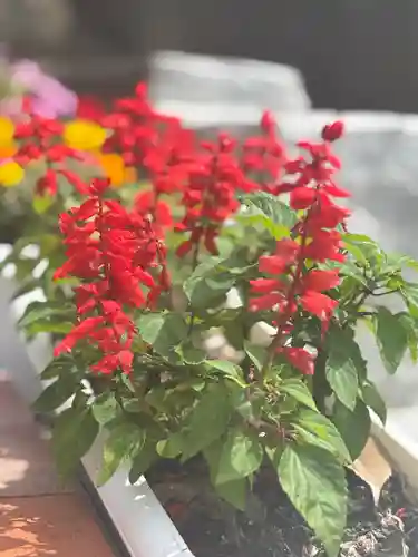 聖光寺(福岡県)