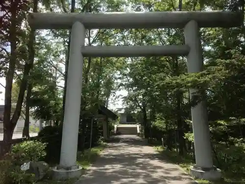 鳥取神社の鳥居