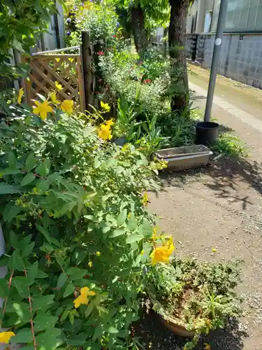 愛宕神社の庭園