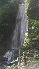 桜松神社の自然