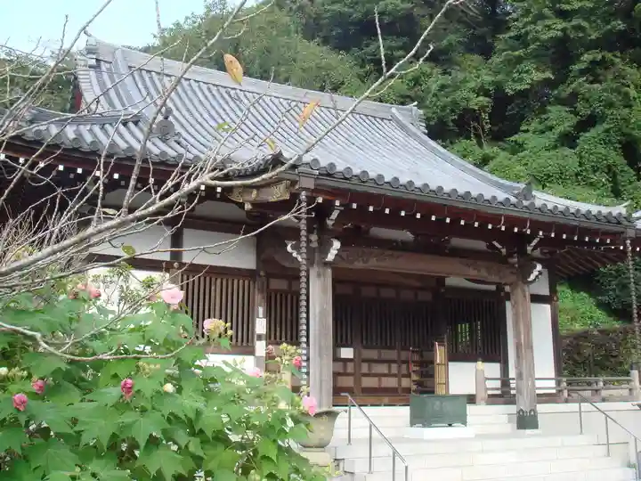 来迎寺(西御門)の本殿・本堂