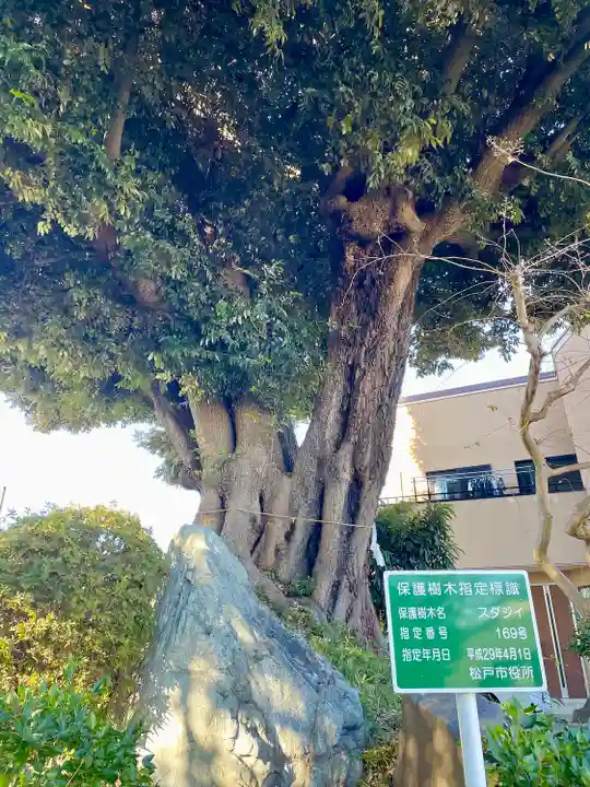 赤城神社(千葉県)