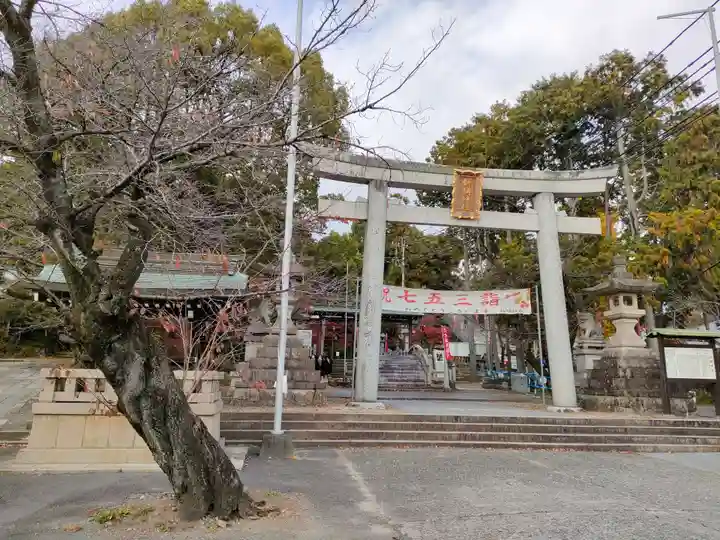 針綱神社の鳥居