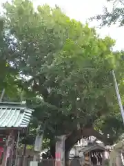 海南神社(神奈川県)