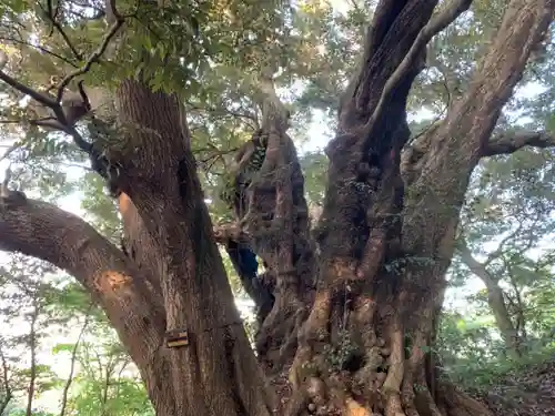 菅生神社のその他建物