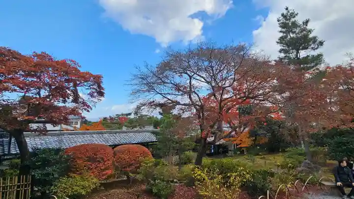 天龍寺(京都府)