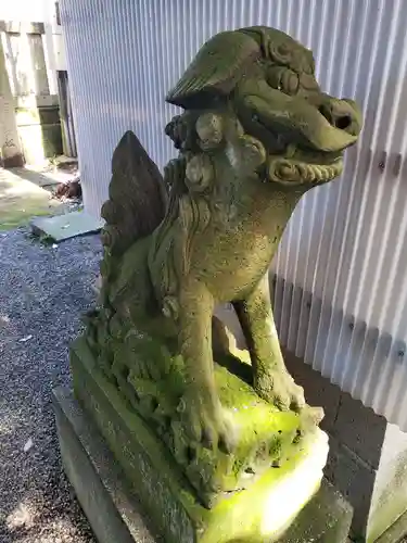 菟橋神社の狛犬