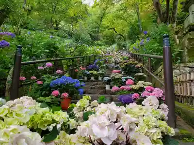 長谷寺のその他建物