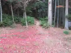 今熊野観音寺(京都府)