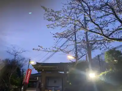 大船観音寺(神奈川県)